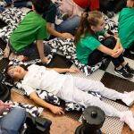 s nemzetkozi sakkfesztival s nemzetkozi sakkfesztival